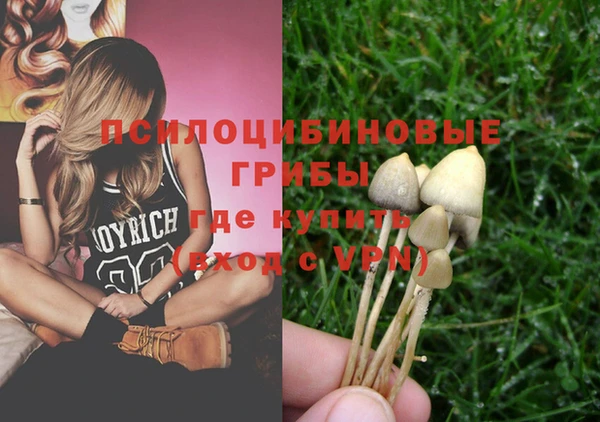 ECSTASY Алексин