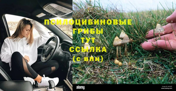 ECSTASY Алексин