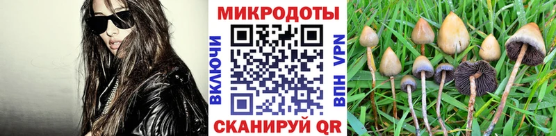 сколько стоит  Мирный  Псилоцибиновые грибы прущие грибы 