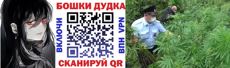 Шишки марихуана гибрид  Мирный 